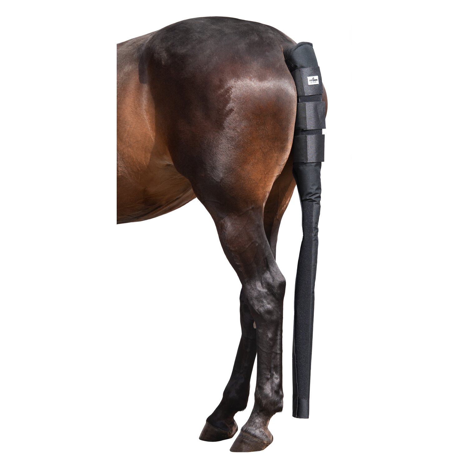 black forest Schweifschoner Long  - schwarz