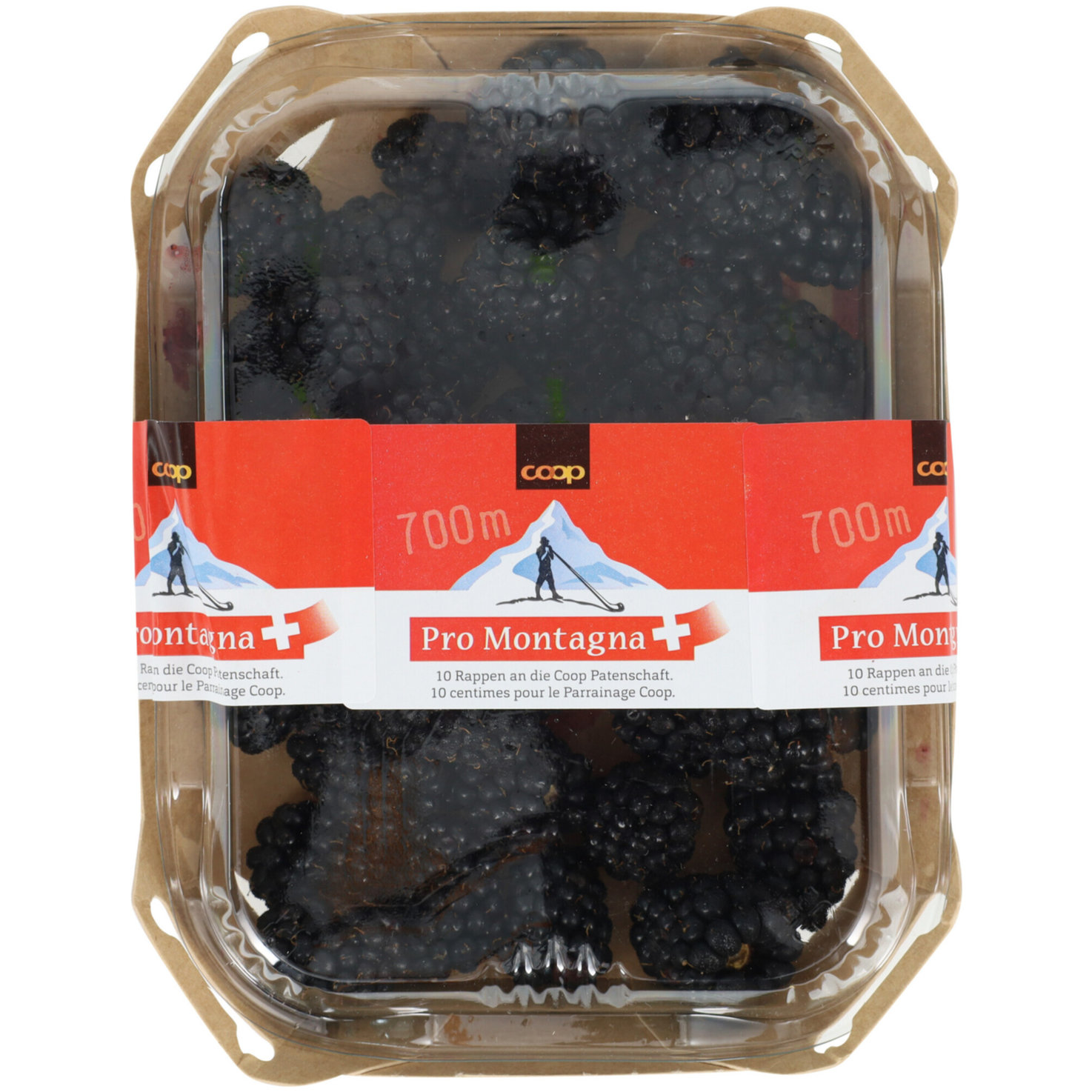 Pro Montagna Brombeeren -