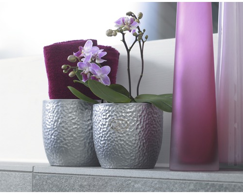 Soendgen Boston keramische bloempot, Ø 13 cm, H 12 cm, zilver