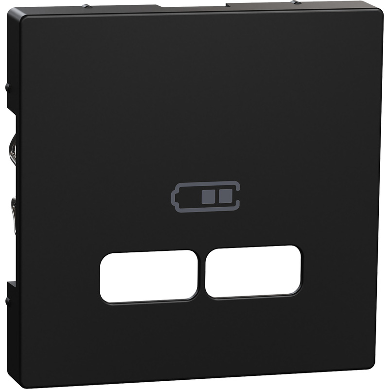 Schneider Electric Systeem-M centraalplaat USB Mat zwart