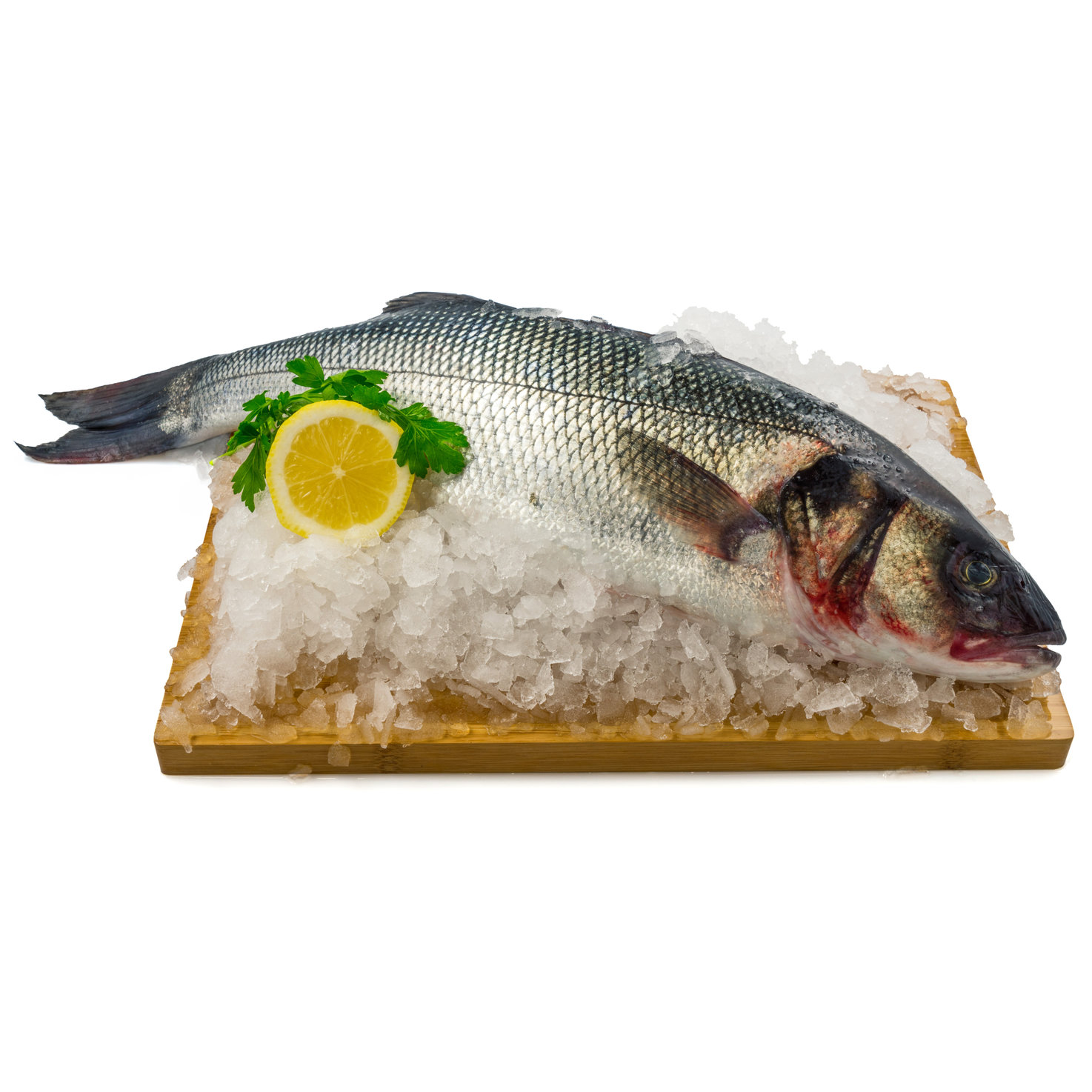 Fine Food Wolfsbarsch