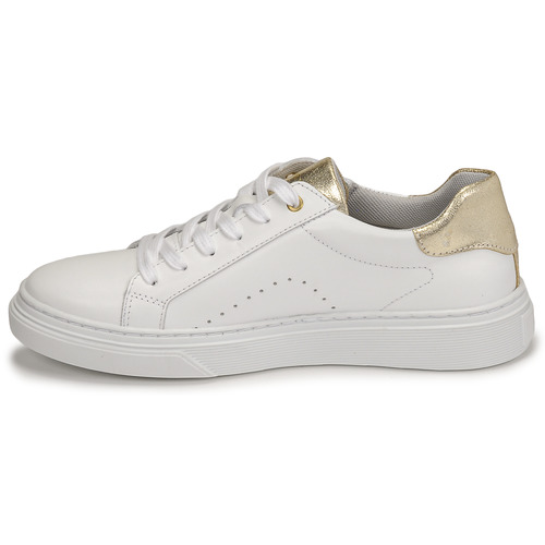 Bullboxer - AOP000E5L-WHPN - Blanc