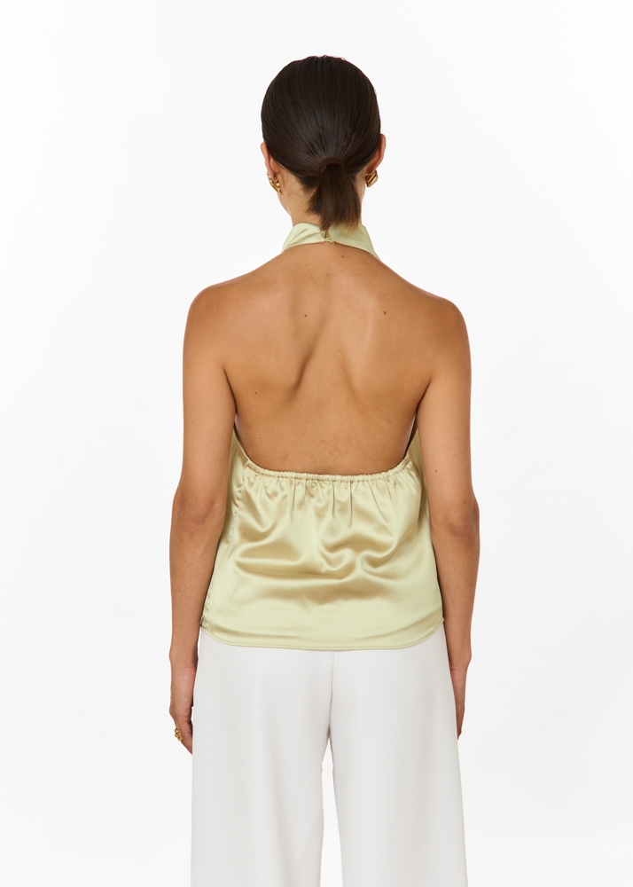 Sjenna top salie groen