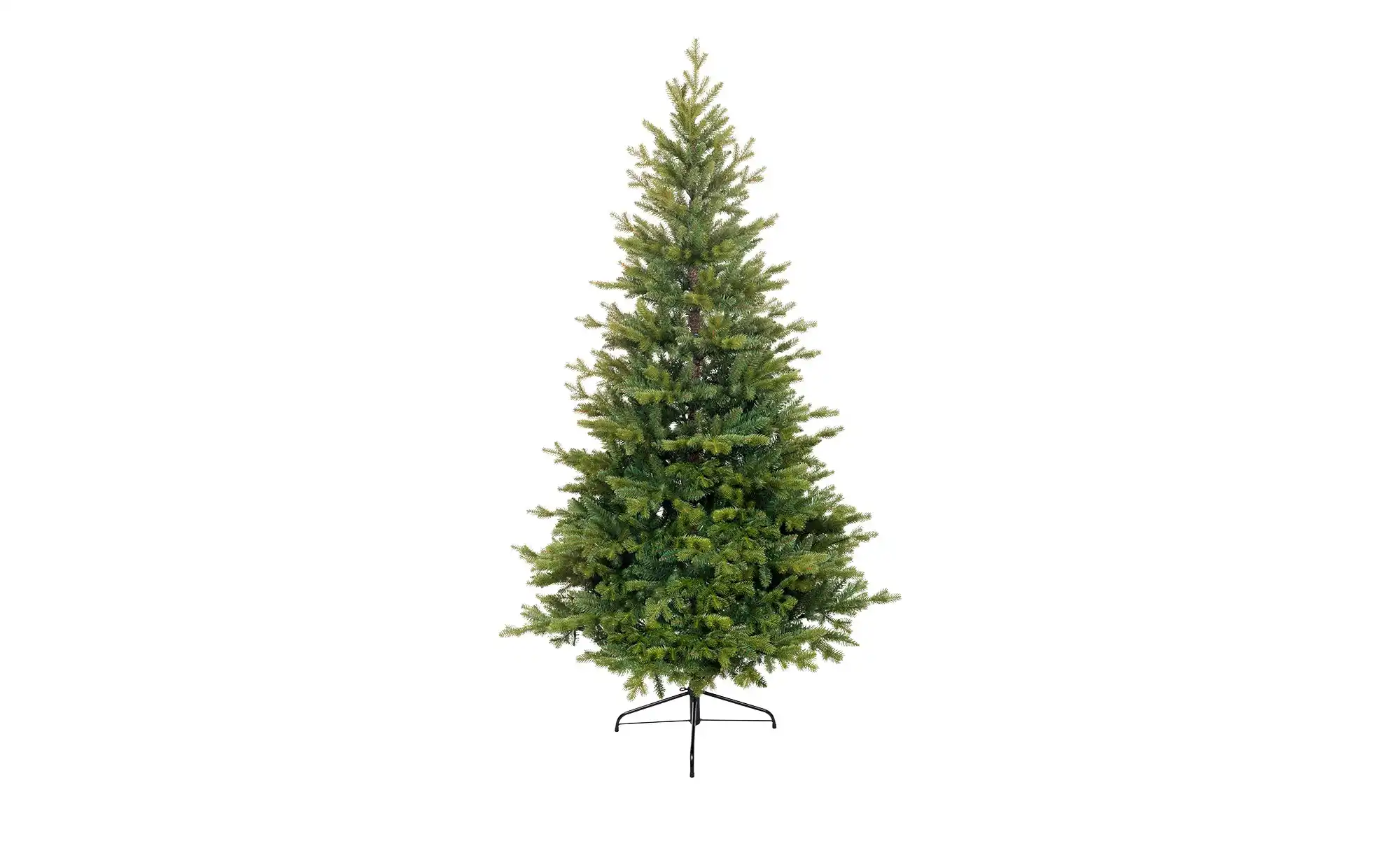 Weihnachtsbaum