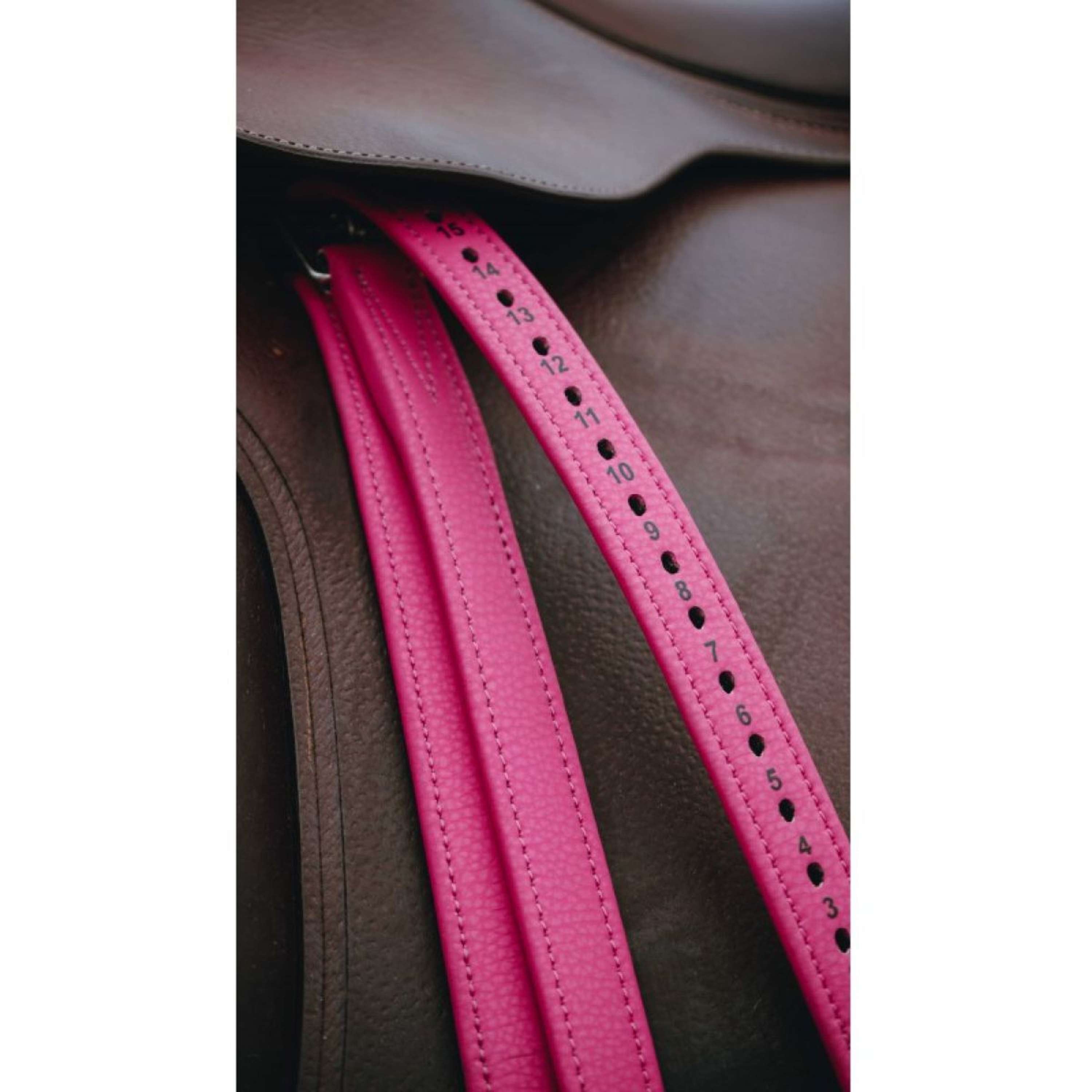 Norton Beugelriemen Roze