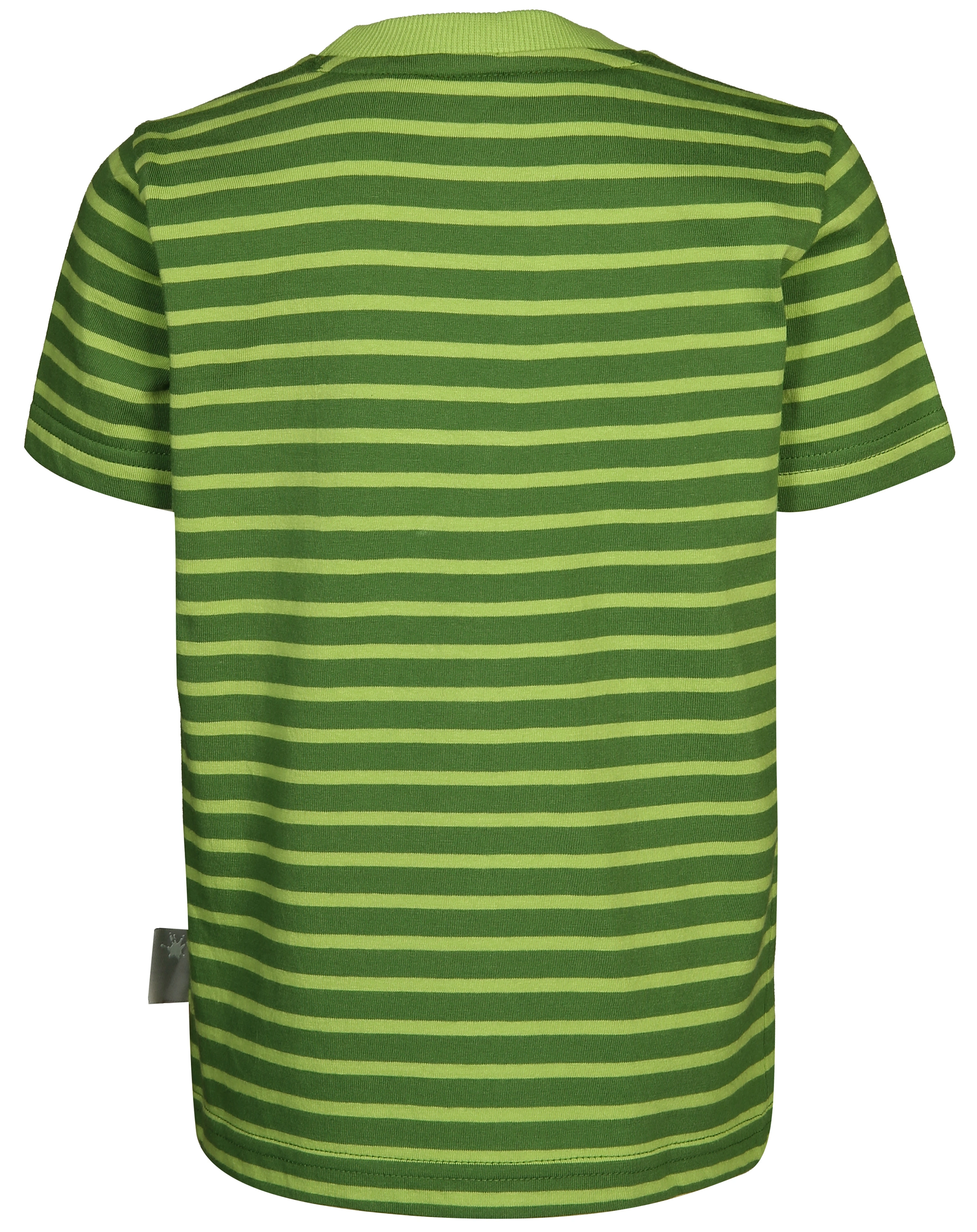 T-Shirt COOL TIGER gestreift in grün