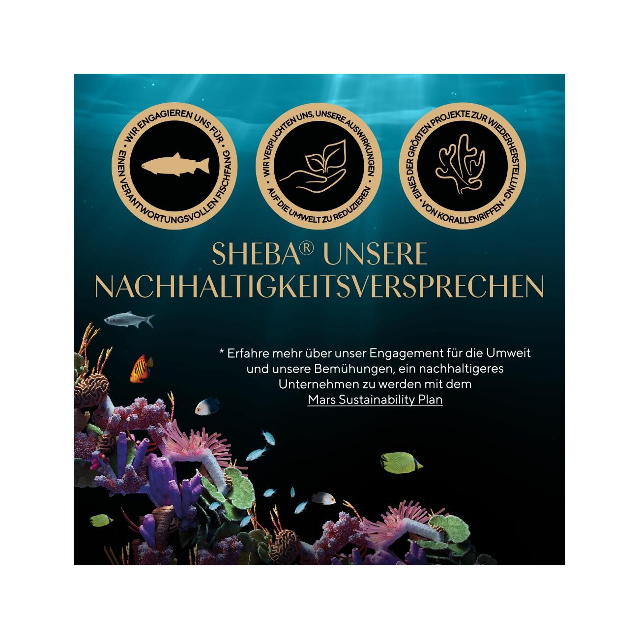 Sheba Fresh & Fine Nassfutter Katze Adult, Multipack, in Sauce 36x50 g Lachs, Thunfisch und Forelle