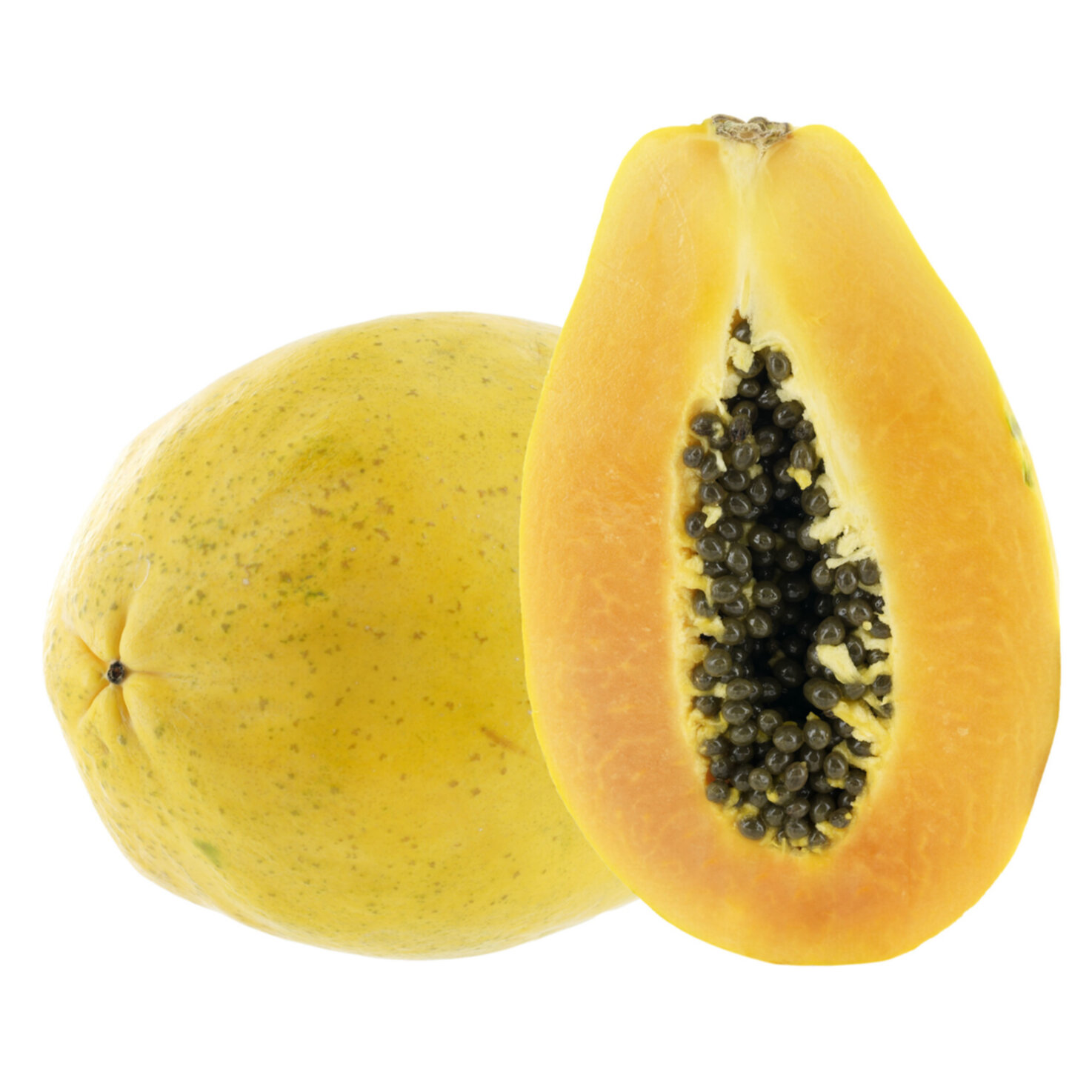 Primagusto Papaya Calimosa -