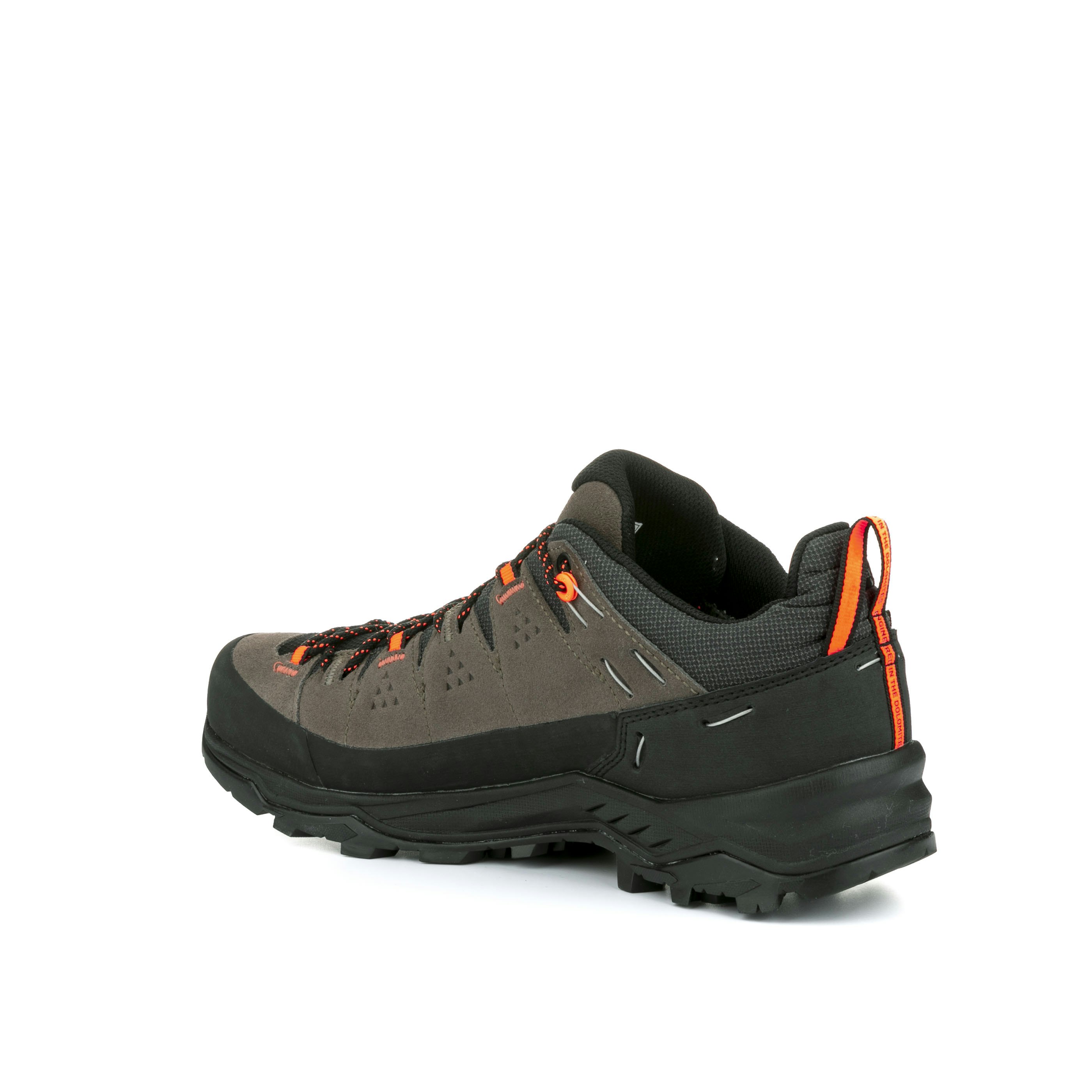 Alp Trainer 2 Gore-Tex® Schuh Herren