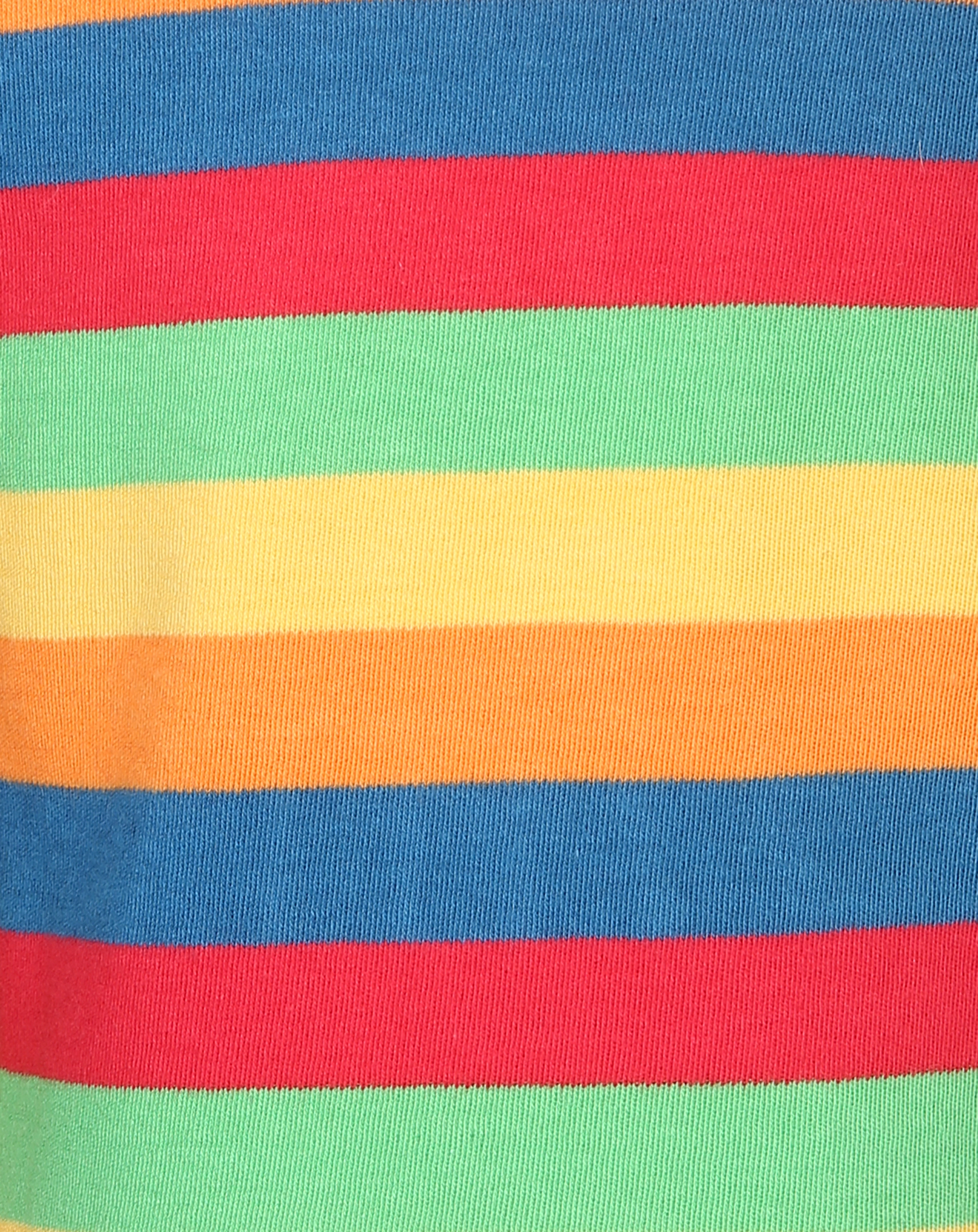 Langarmshirt BOBBY - LADYBIRD in bunt