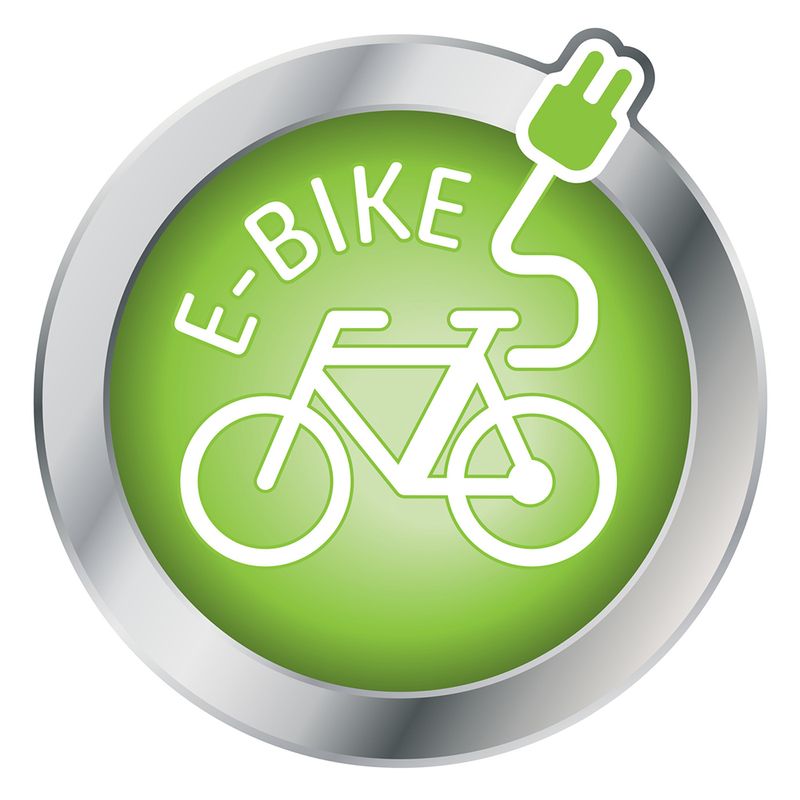 Panier de transport pour vélo Aumüller avec grille de protection