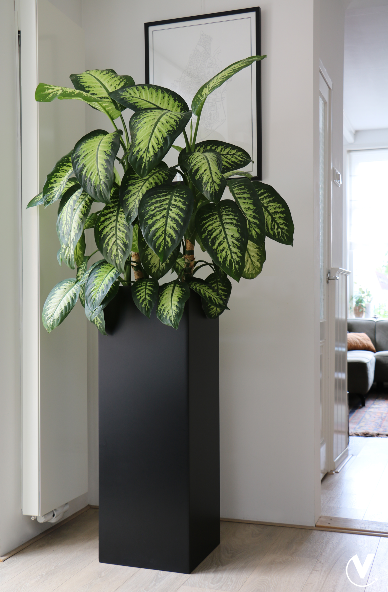 Plantenpot Pearl matte black