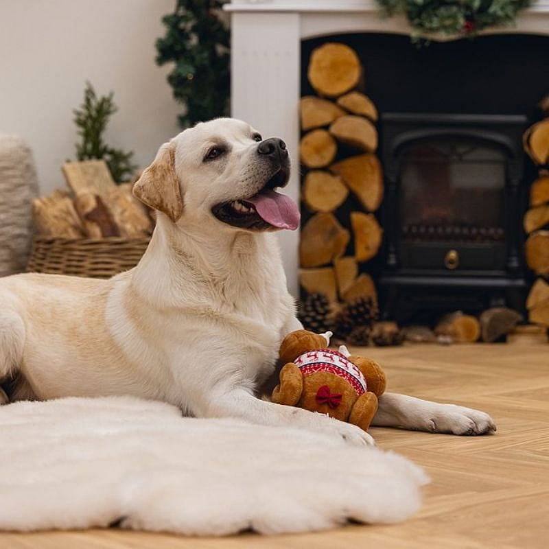 Beeztees Kerstkalkoen Pluche Hond | 15163