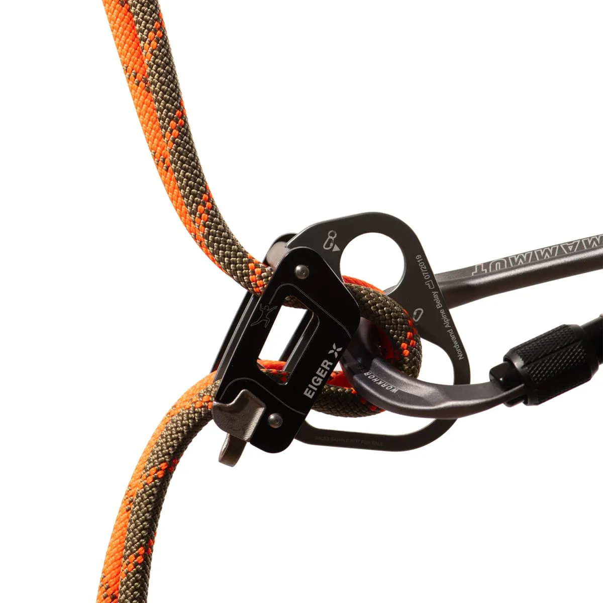 Mammut 8.0 Alpine Dry Rope Dry Standard, 50m Boa-Safety Orange