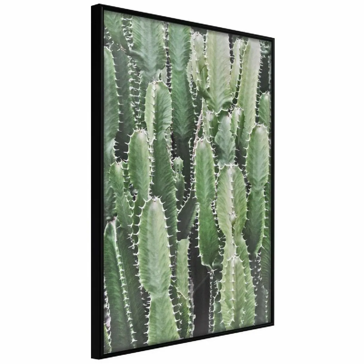 Paris Prix Affiche Cactus Plantation - Noir