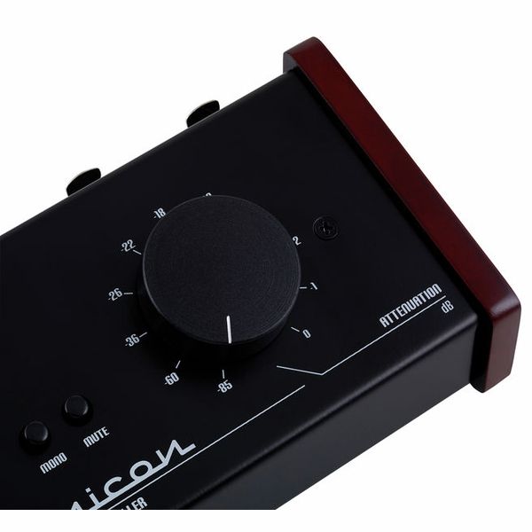 Palmer Monicon