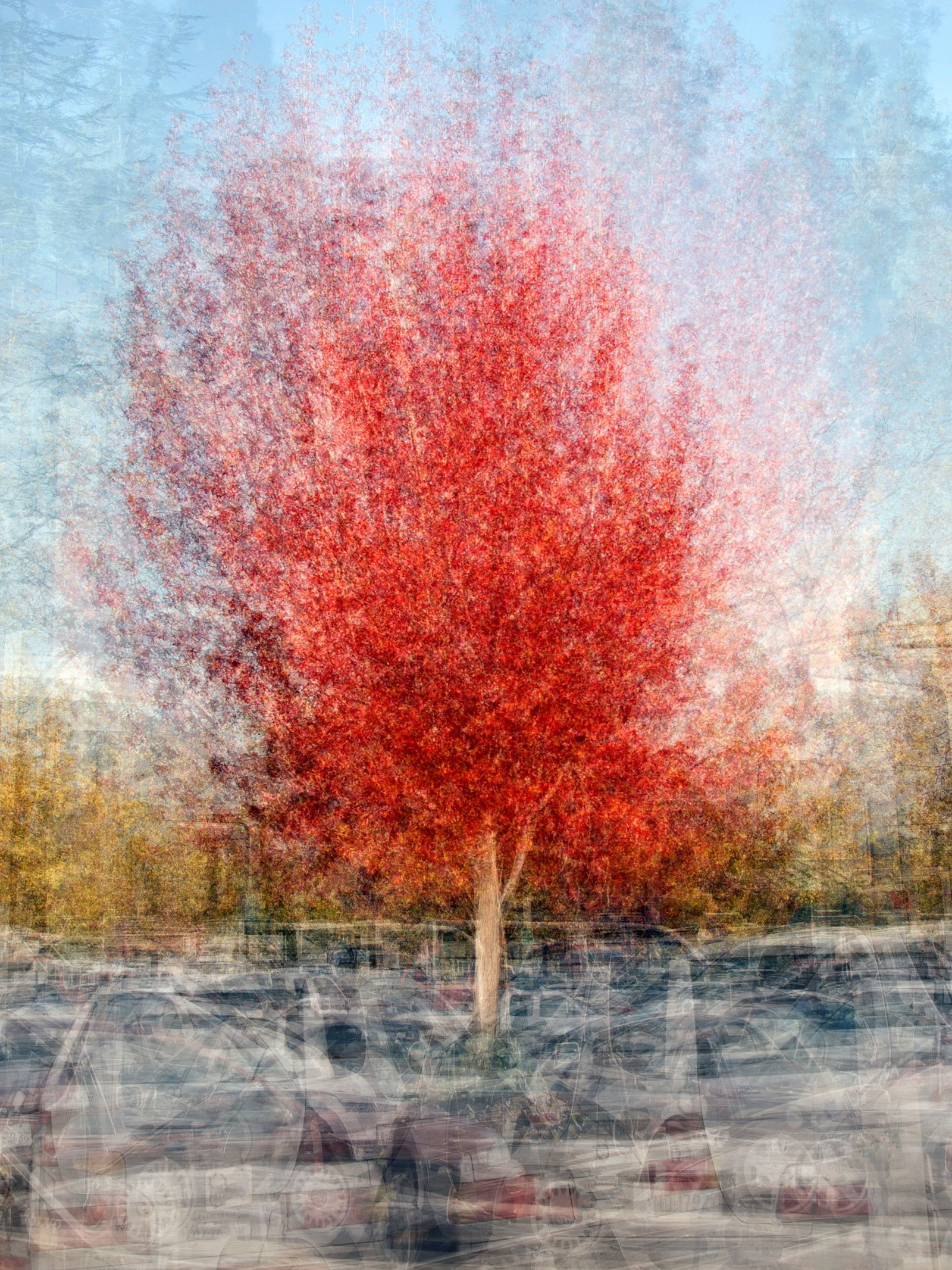 Santa Cruz Two by Pep Ventosa - Limited Edition. Edition of: 100. Signed.