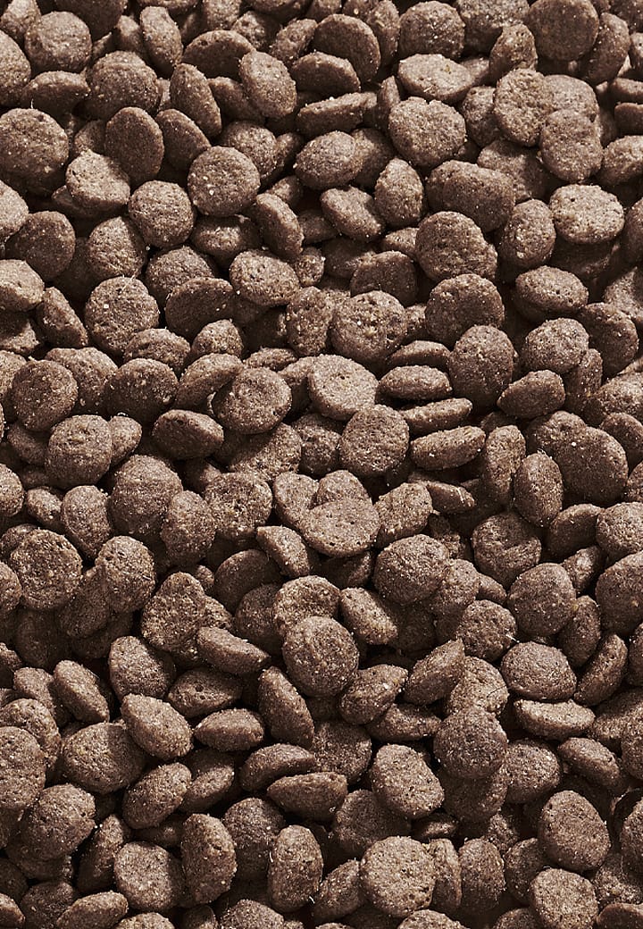 Vet-Concept Intestinal Low Fat Kattenvoer | 10 kg | 11404.2