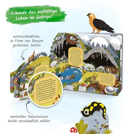 Trötsch Fensterbuch Im Gebirge