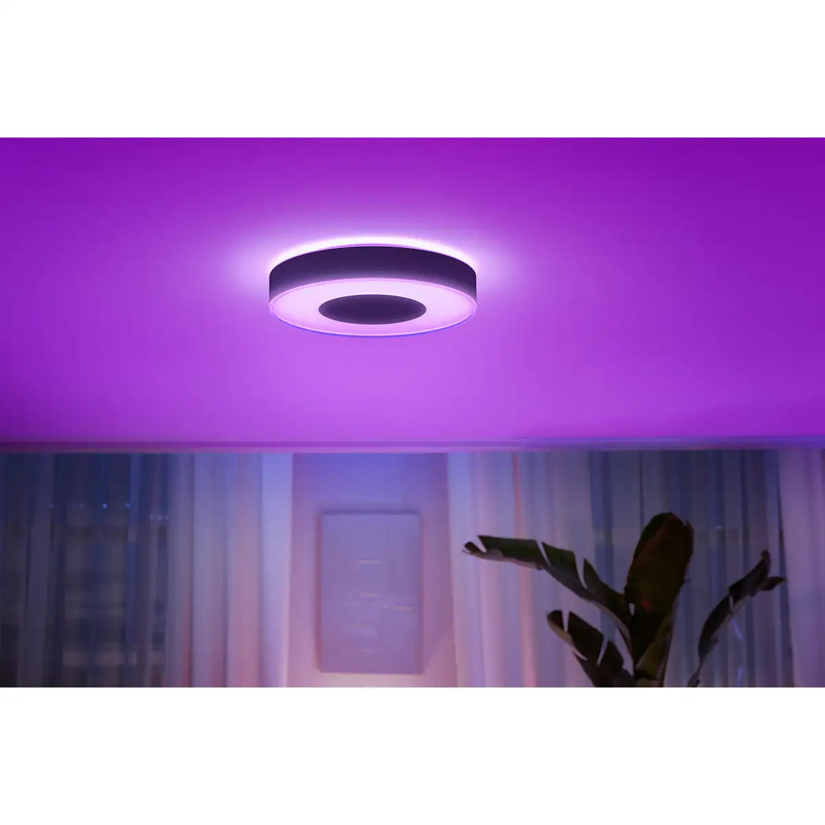 Philips Hue Infuse L taklampe (sort)