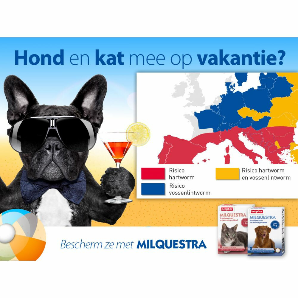 Beaphar Milquestra Ontworming Tabletten Kat 2 - 12 kg2 tabletten