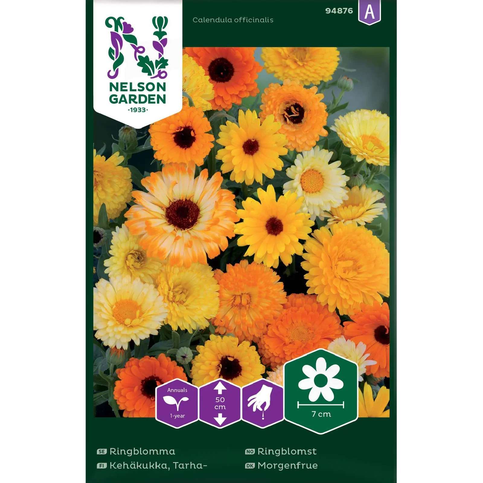 Calendula officinalis Ringblomst