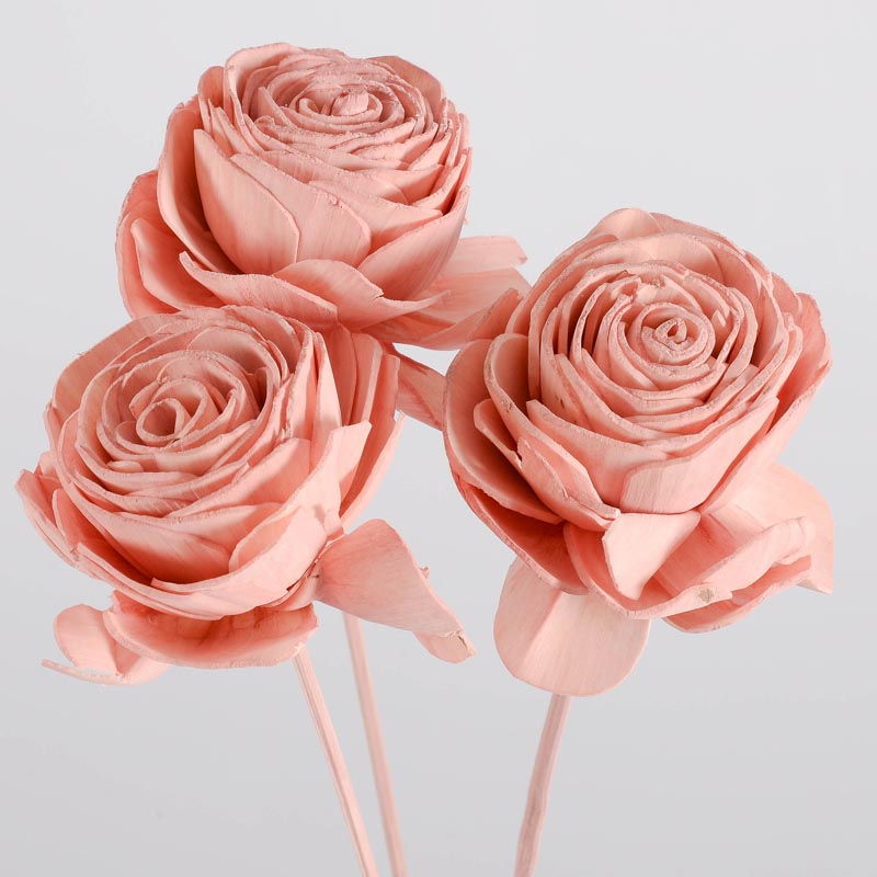 3 tiges de 'Sola Beauty' artificielles