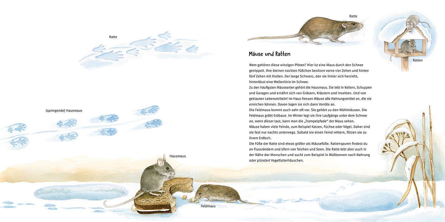 Welches Tier lief denn hier?