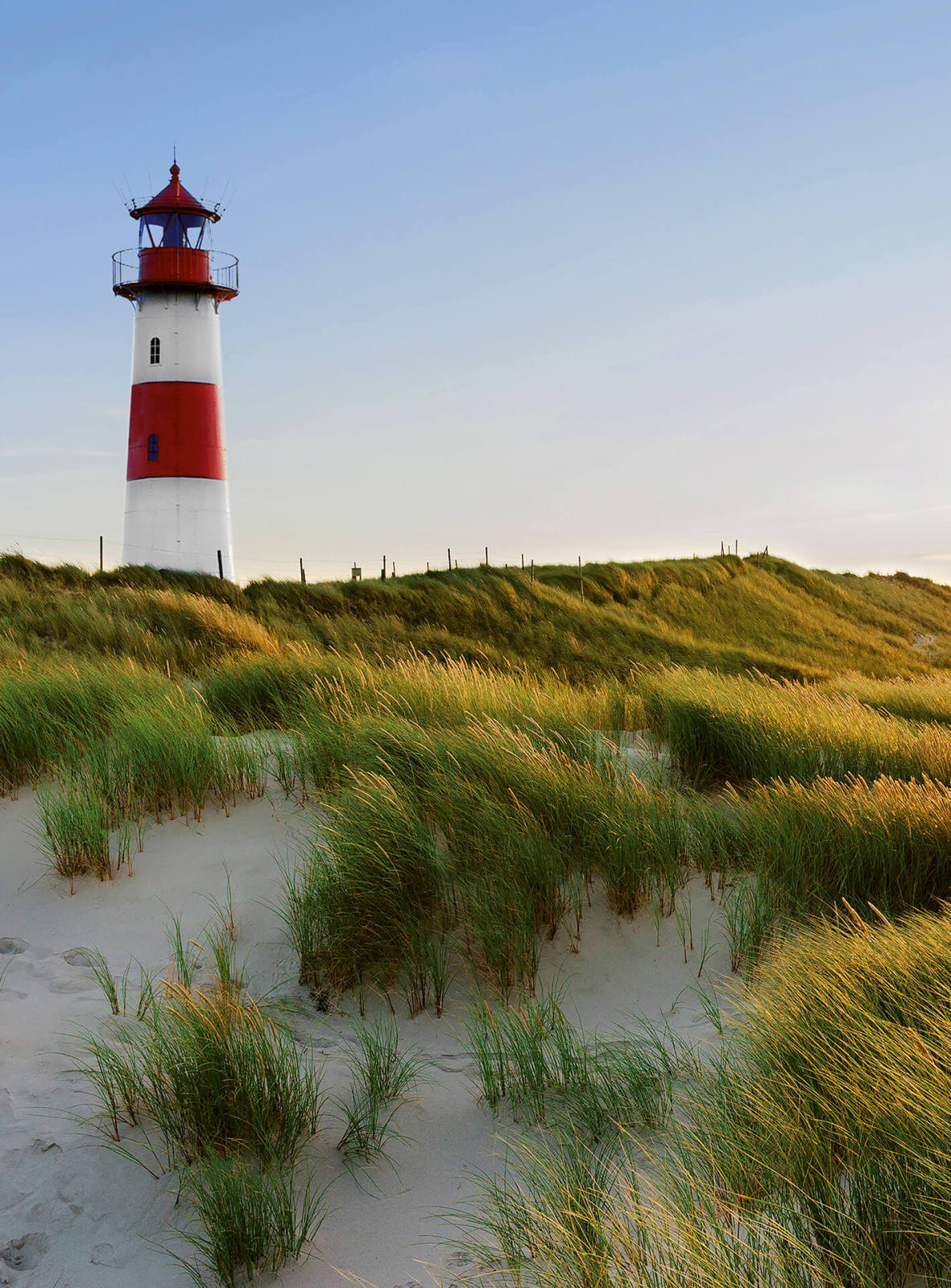 Fototapete DESIGNWALLS 2.0 - grün-rot - Leuchtturm - 2,6 Meter