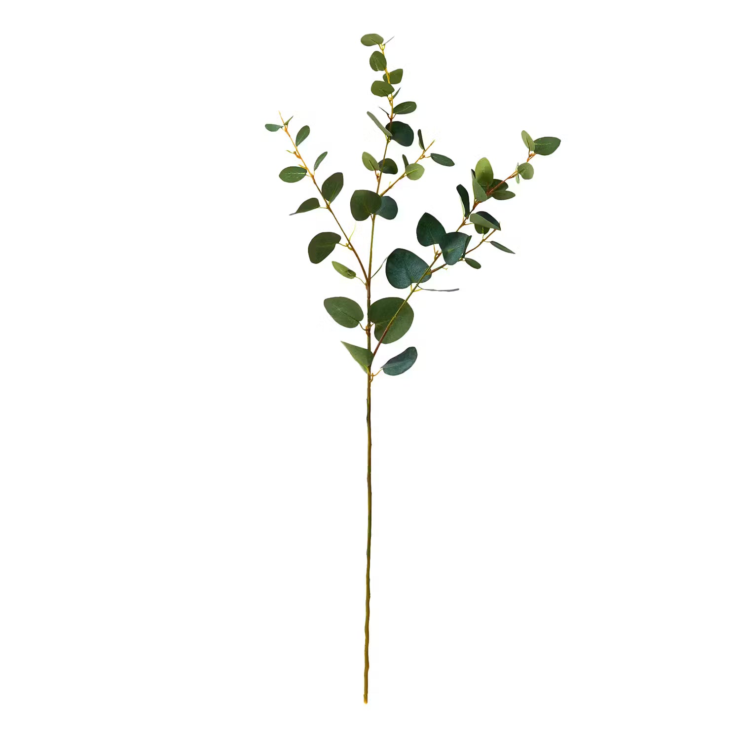 FLORISTA Eukalyptuszweig 4er-Set