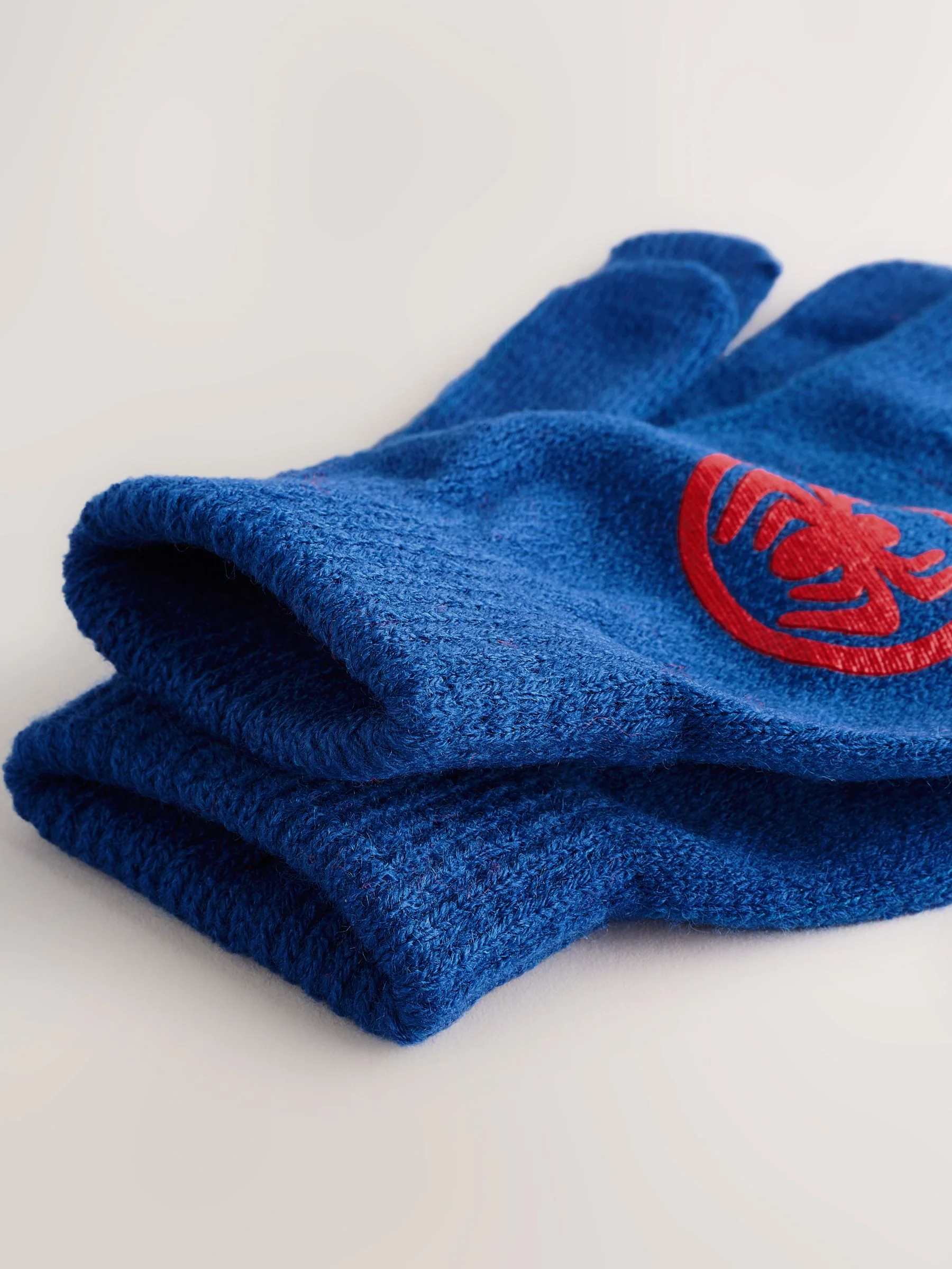 Spidey And His Amazing Friends wintermuts en handschoenenset