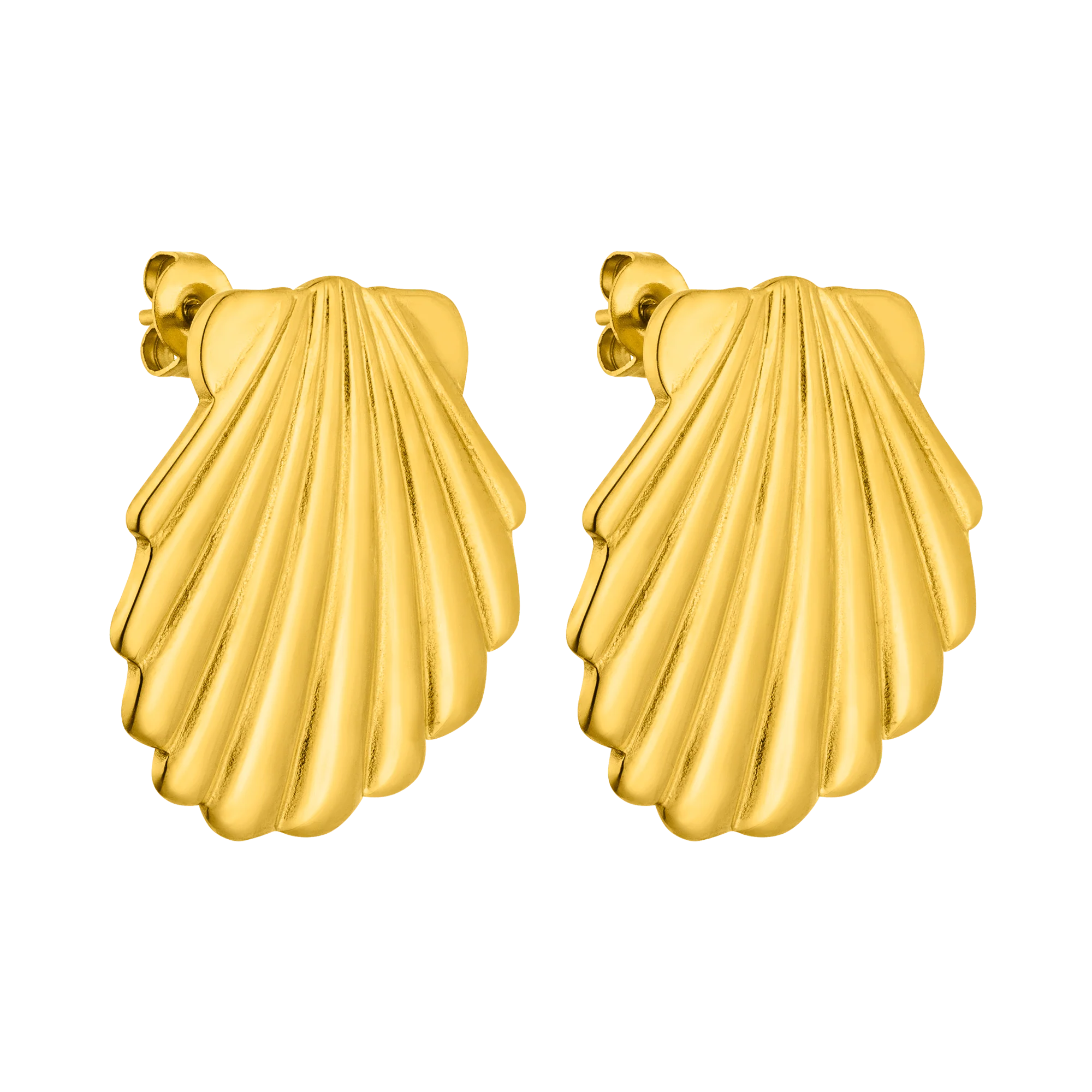 Shell Ohrringe - PURELEI