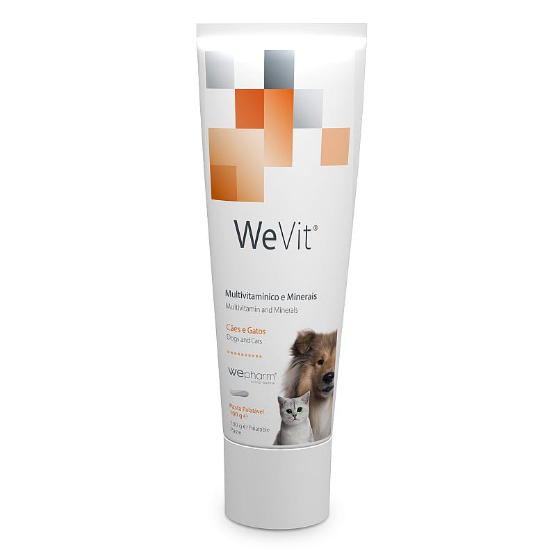Wepharm WeVit Gel 100 gram | 15872