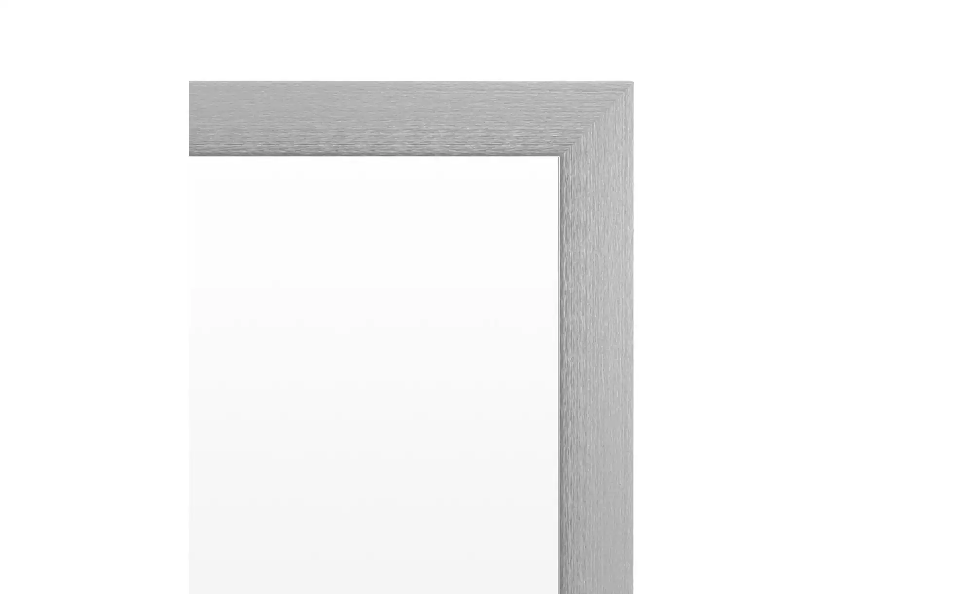 Spiegel 50 x 120 cm