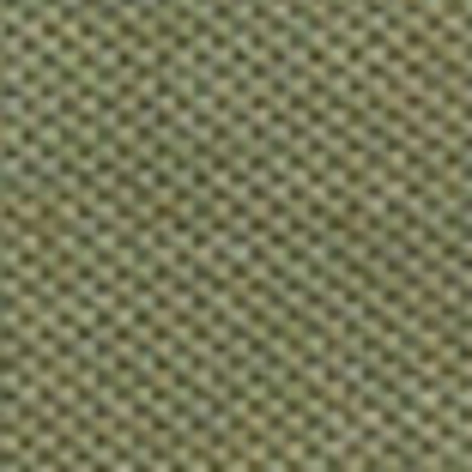 Poloshirt Piqué regular aus Bio-Baumwolle