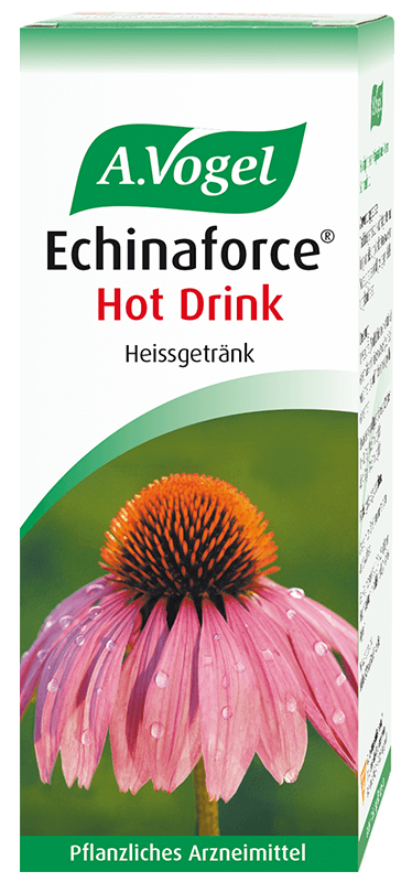 VOGEL Echinaforce Hot Drink Heissgetränk Trink Lös Heissgetränk Fl 100 ml