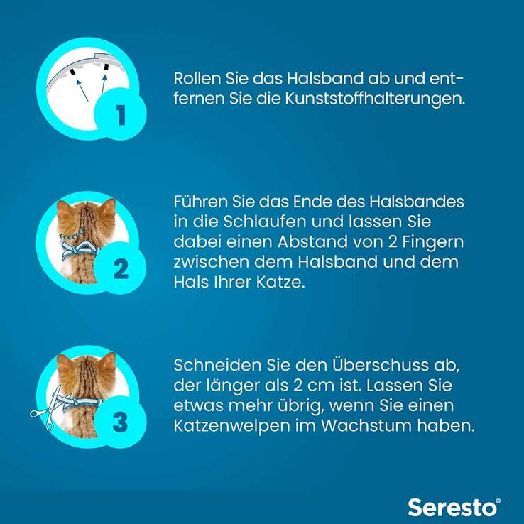 Seresto Halsband für Katzen, 1 St
