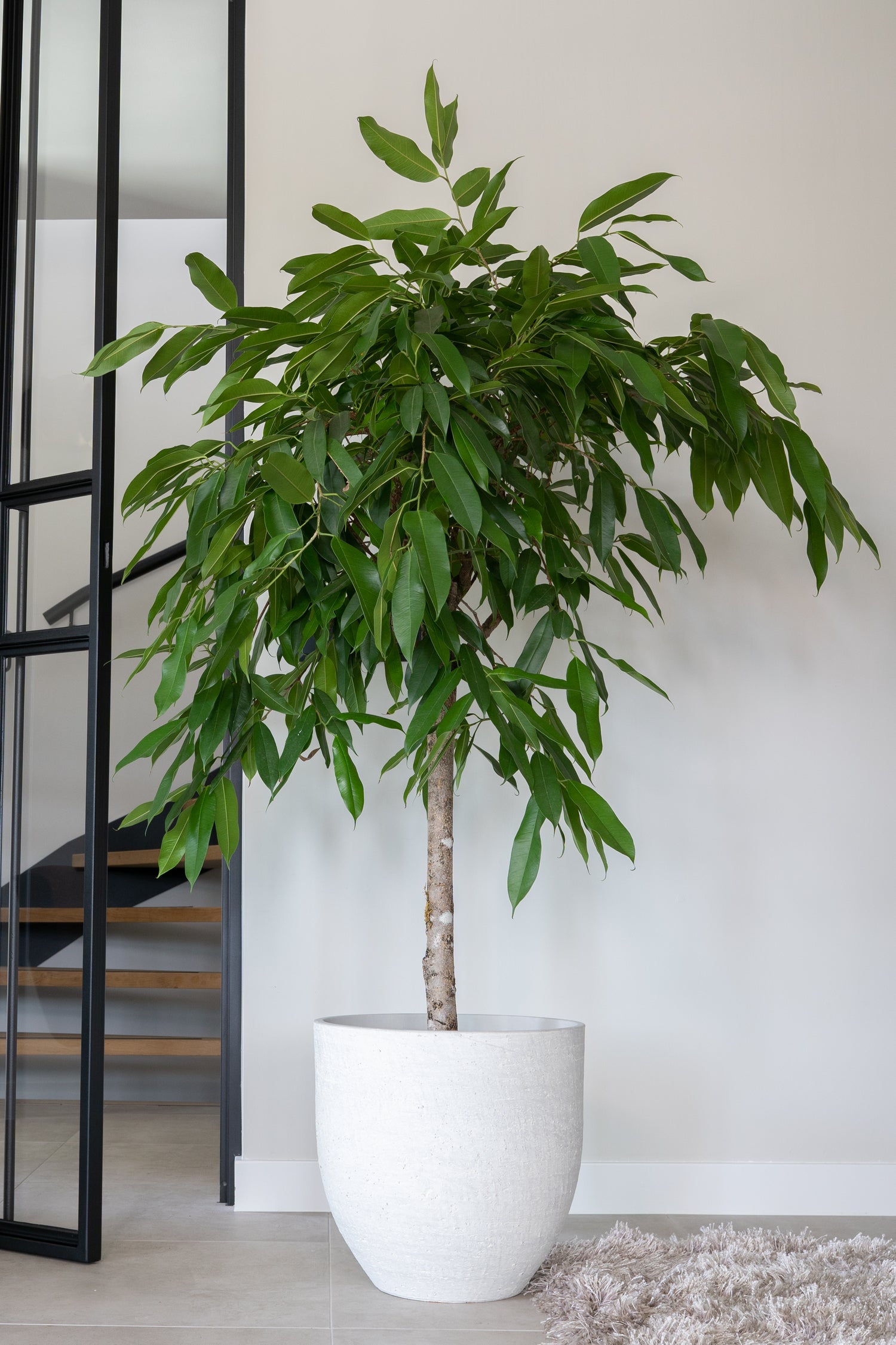 TS bloempot Cas grijs D 36 H 32 cm