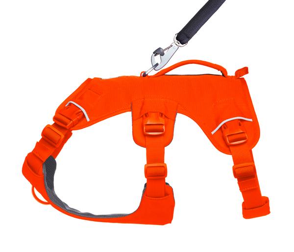 RUFFWEAR® Hundegeschirr Web Master™