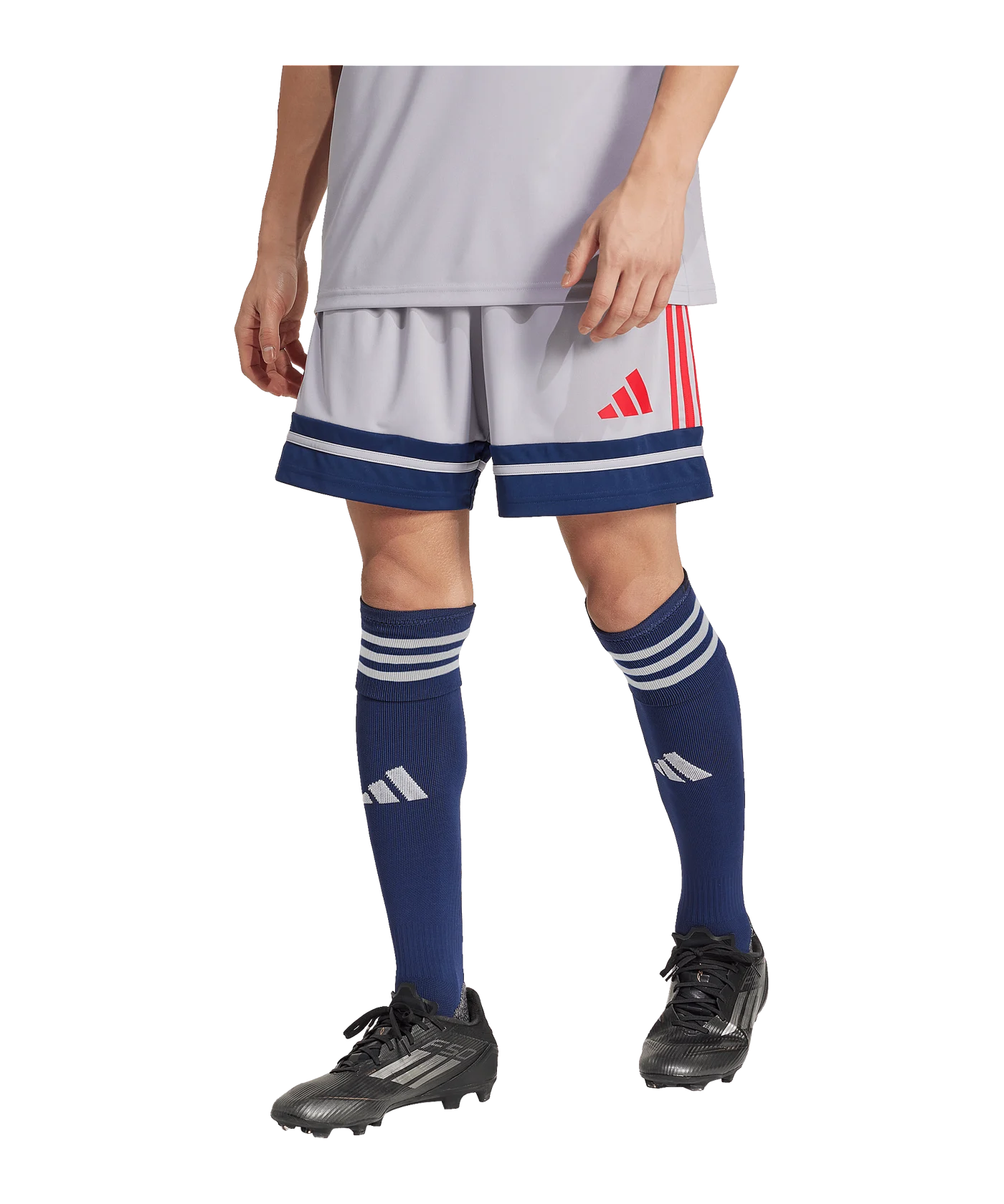 adidas Squadra 25 Short Grau