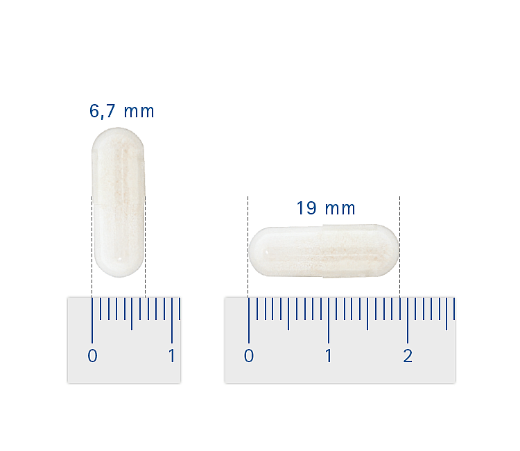 Pharmox UC II voor de vitale botten en spieren van uw hond en kat. Bestel de Pharmox veilig en zeker bij de Dierapotheker.