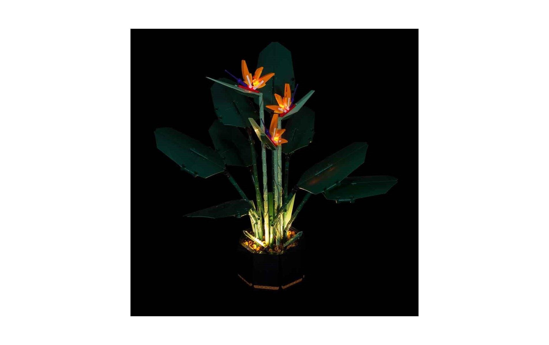 LED-Licht-Set für LEGO® Paradiesvogelblume 10289Light-Kit