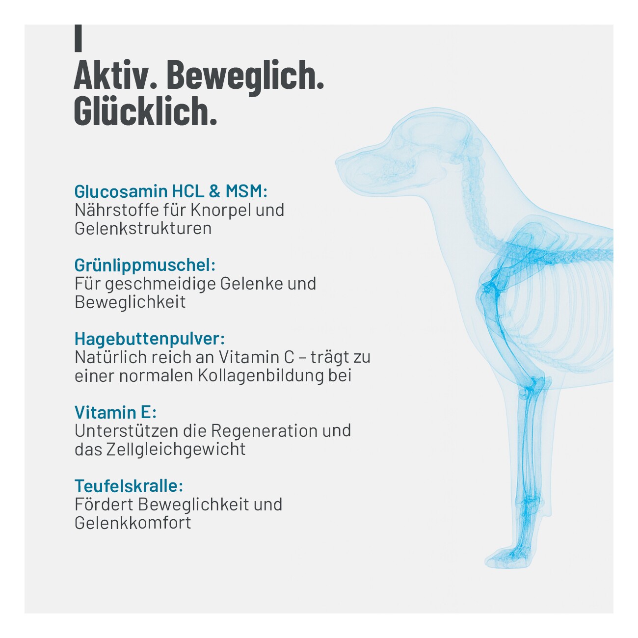 REAVET Gelenktabletten Forte 180Stk