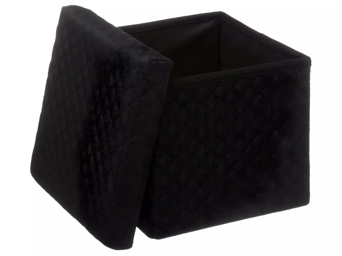 2 en 1 Pouf et Coffre de rangement Noir 31 x 31 cm