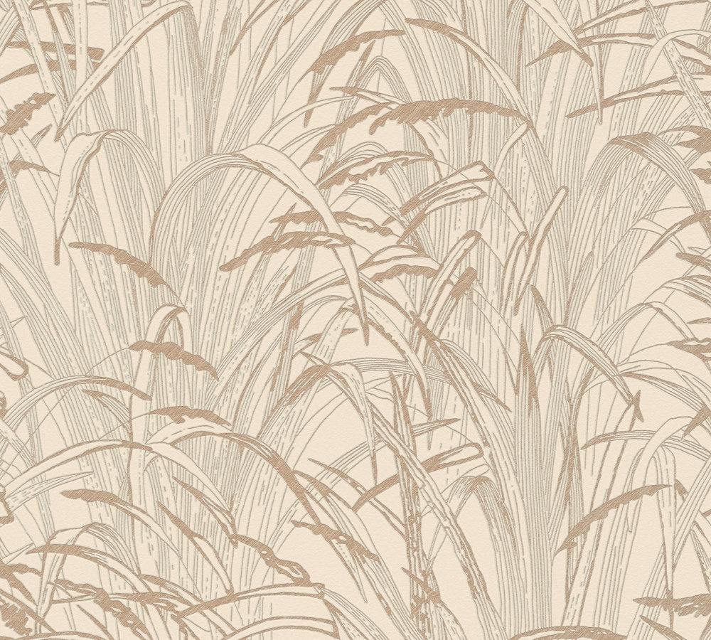 A.S. Creation Vliestapete - beige-creme - Pampasgras- 10 Meter