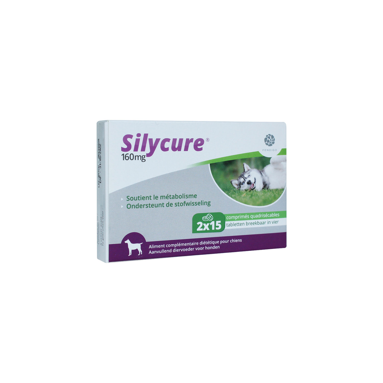 Silycure
