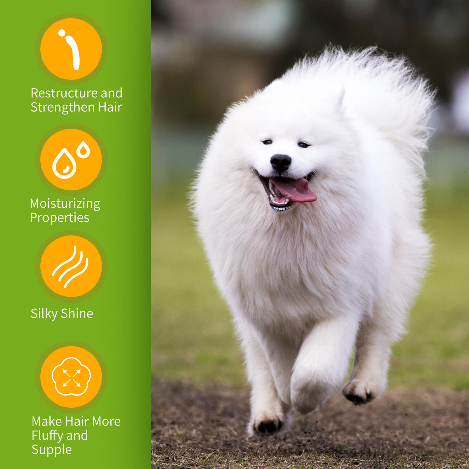 Shampoo Nobleza para Cães Brancos - Remove manchas sem alvejante ou peróxido, shampoo para cães de pelagem branca com fragrância de laranja, shampoo para Bichon Frisé, Maltês e Samoieda 250 ml