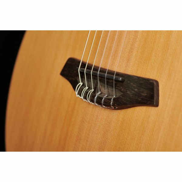 Furch GNc2-CW w/ LR Baggs EAS-VTC Nylon