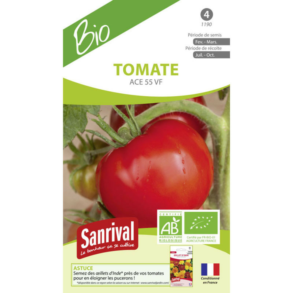 Graines de tomates ace 55 vf ab bio
