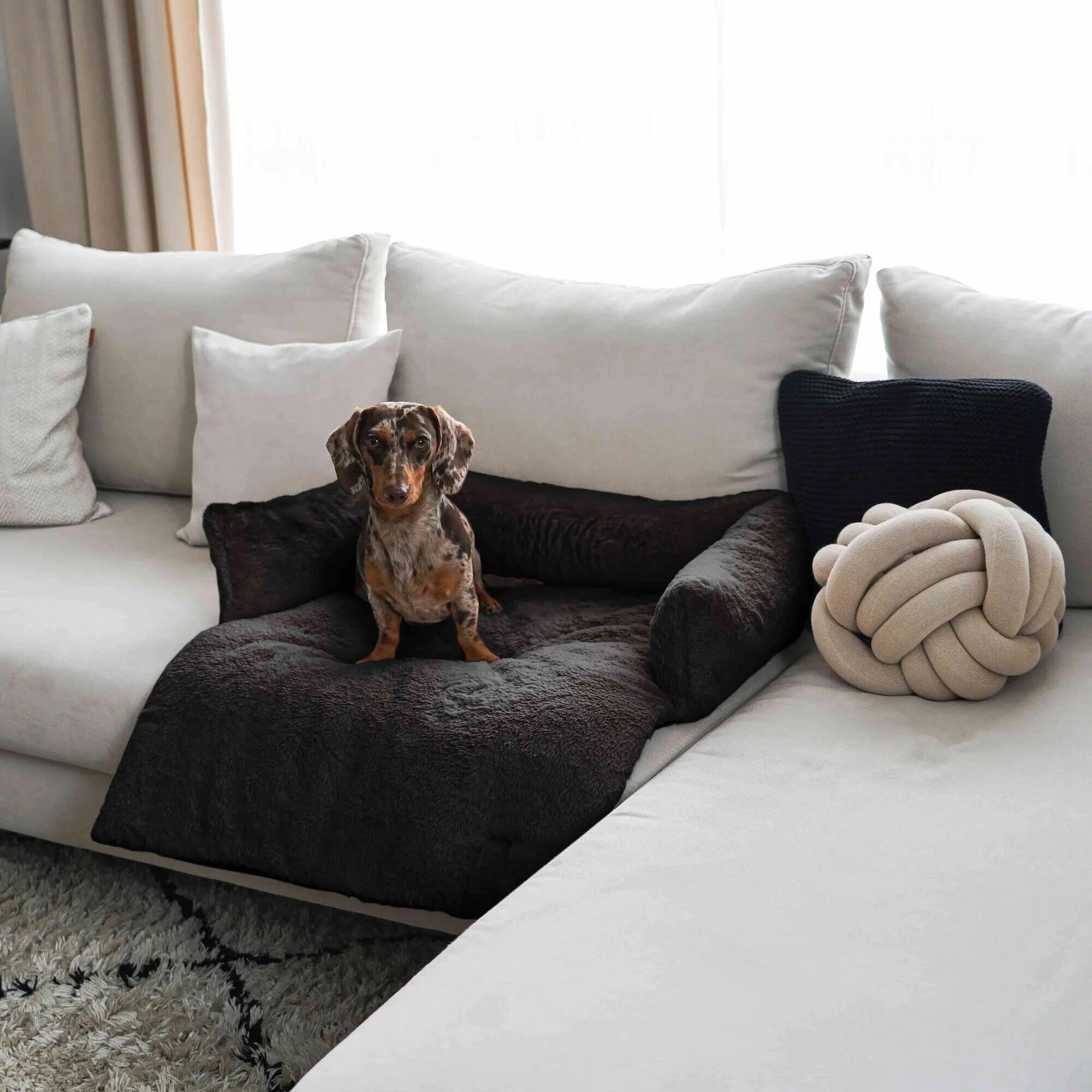 District 70 Nuzzle Sofa Bed